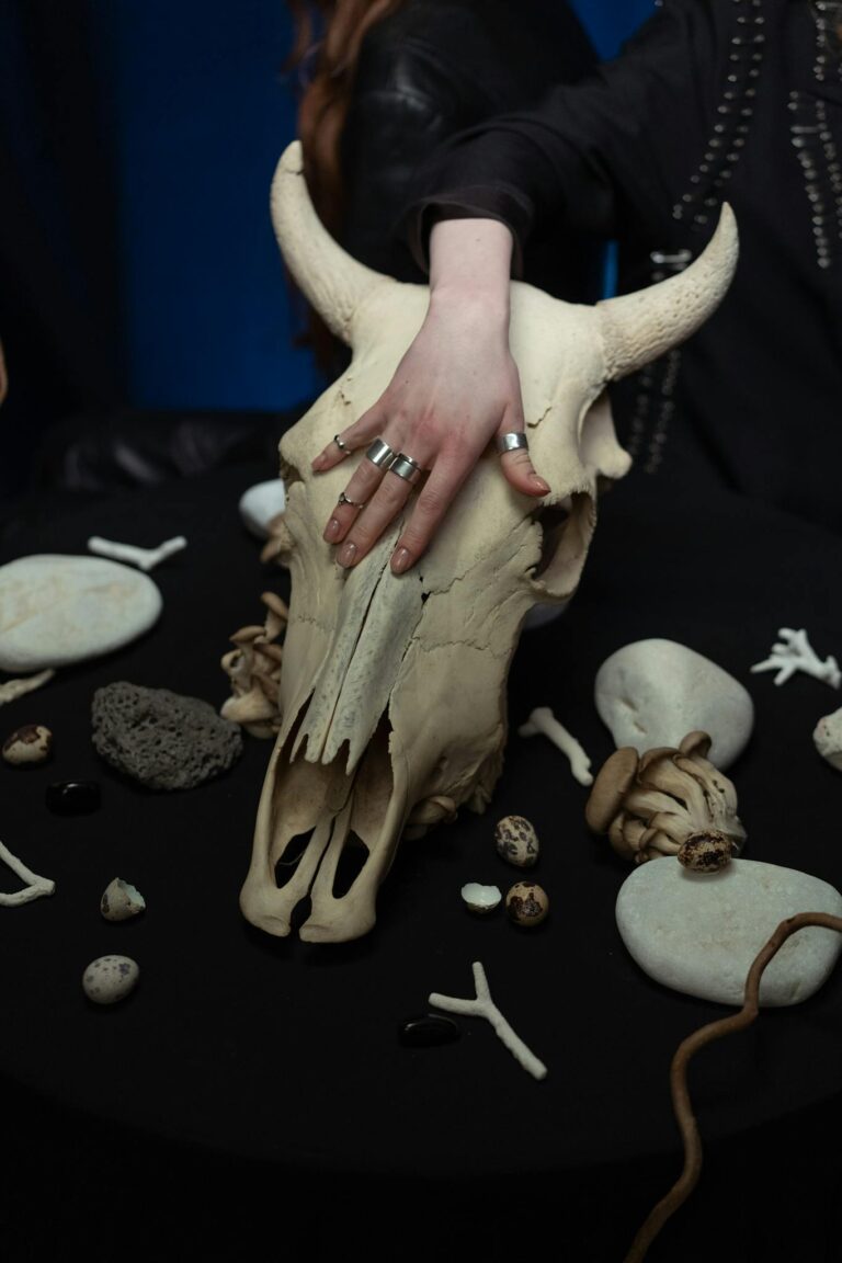 Hand adorned with rings touching a mystical animal skull surrounded by stones and bones, creating a witchcraft vibe.